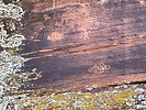 photo thumbnail #8