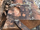 photo thumbnail #9