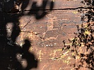 recent photo