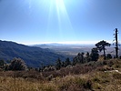 photo thumbnail #1
