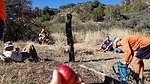 photo thumbnail #3