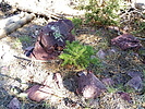 photo thumbnail #8