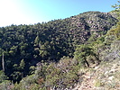 photo thumbnail #5