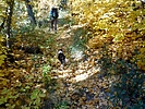 photo thumbnail #1