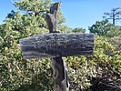 photo thumbnail #4