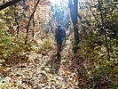 photo thumbnail #9