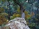 photo thumbnail #14