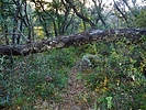 photo thumbnail #15