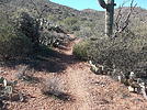 photo thumbnail #4