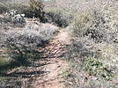 photo thumbnail #5
