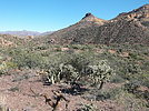 photo thumbnail #6