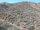 photo thumbnail #8