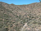 photo thumbnail #9