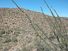 photo thumbnail #10