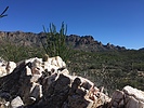 photo thumbnail #5