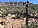 photo thumbnail #6