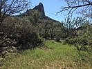 photo thumbnail #13