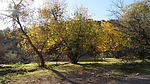 photo thumbnail #5
