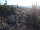 photo thumbnail #4