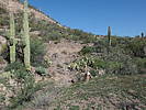photo thumbnail #11