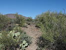 photo thumbnail #12