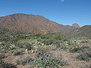 photo thumbnail #15