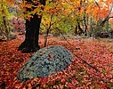 photo thumbnail #3