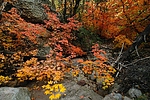 photo thumbnail #11