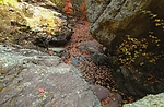 photo thumbnail #14