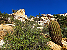 photo thumbnail #6