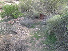 photo thumbnail #4