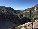 photo thumbnail #2