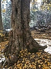 photo thumbnail #13