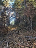 photo thumbnail #15