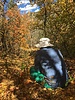 photo thumbnail #6