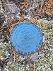 photo thumbnail #14