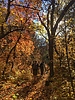 photo thumbnail #15