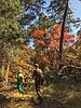 photo thumbnail #12