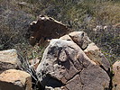 photo thumbnail #4