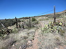 photo thumbnail #5