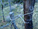 photo thumbnail #15