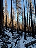 photo thumbnail #13