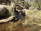 photo thumbnail #5