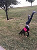 photo thumbnail #2