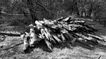 photo thumbnail #6