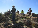 photo thumbnail #12