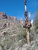 photo thumbnail #6