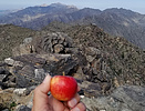 photo thumbnail #12