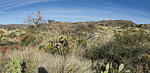 photo thumbnail #2