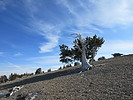 photo thumbnail #15